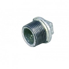 Galvanised Plug 15mmx2