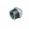 Galvanised Plug 15mmx2